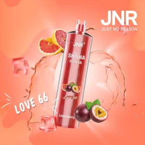 417e9d11a46cc2da6ff880b6aa937b60-1 JNR Shisha Hookah – Love 66 12,000